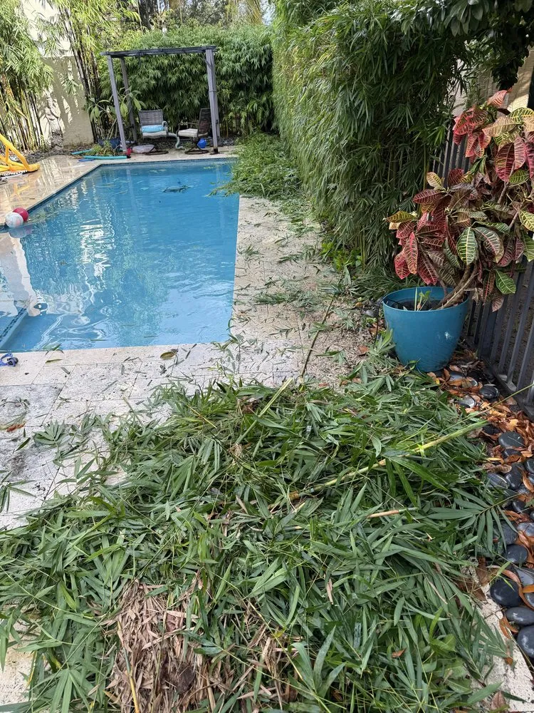 Trusted yard cleanup service experts serving Lake Worth Beach, FL - Classy Cuts Lawn Maintenance