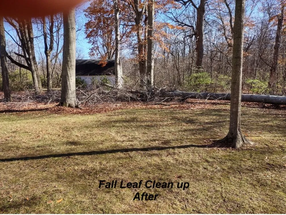 Top-rated lawn care service for year-round maintenance in Dowagiac, MI by Classy Grass