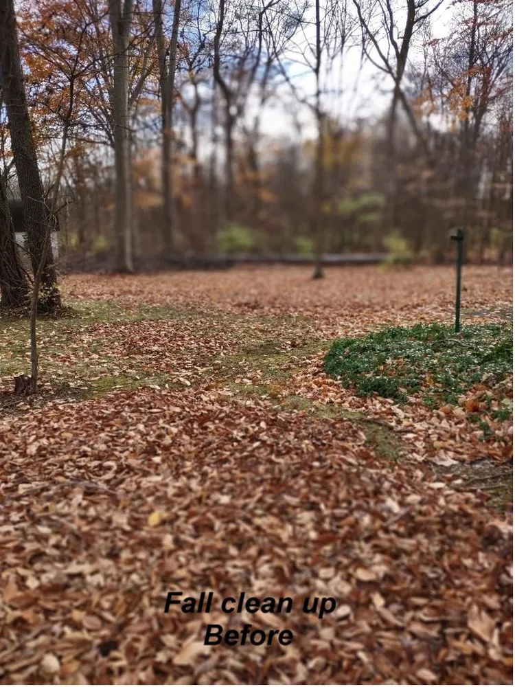 Affordable lawn care service experts serving Dowagiac, MI - Classy Grass