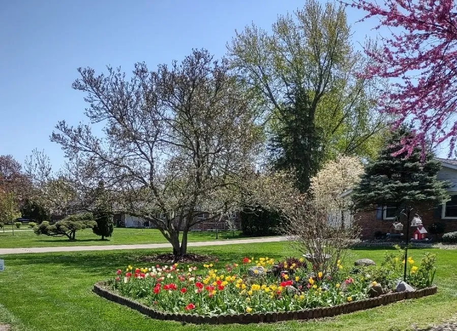 Local lawn care service experts serving Dowagiac, MI - Classy Grass