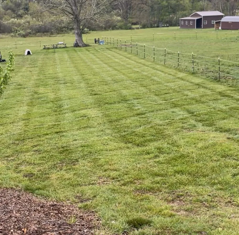 Reliable yard maintenance for residential properties in Ghent, WV by Classy Grass Landscaping