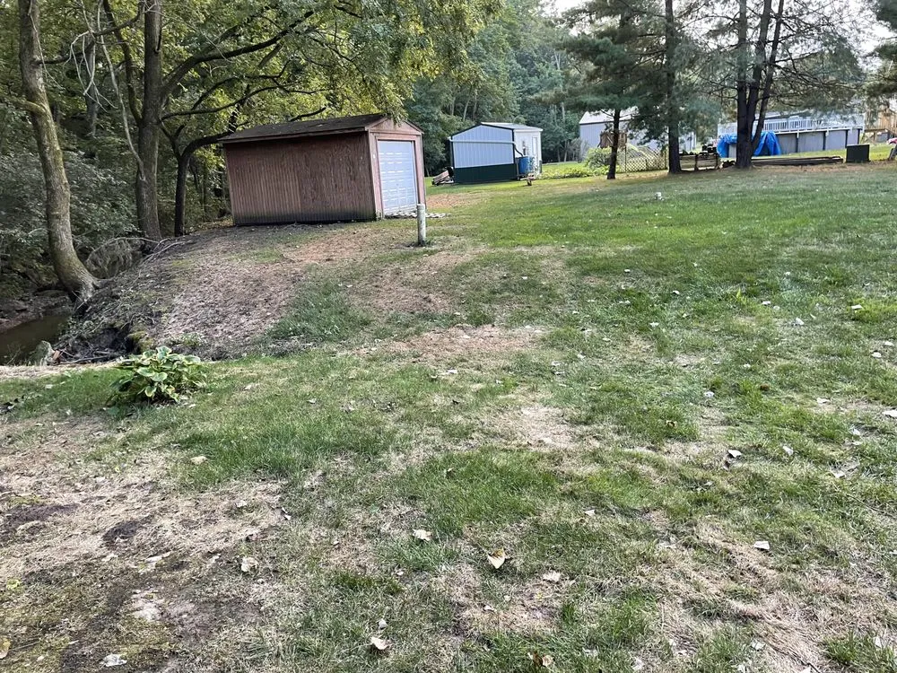 Expert yard cleanup service experts serving Peoria, IL - Classy Grass