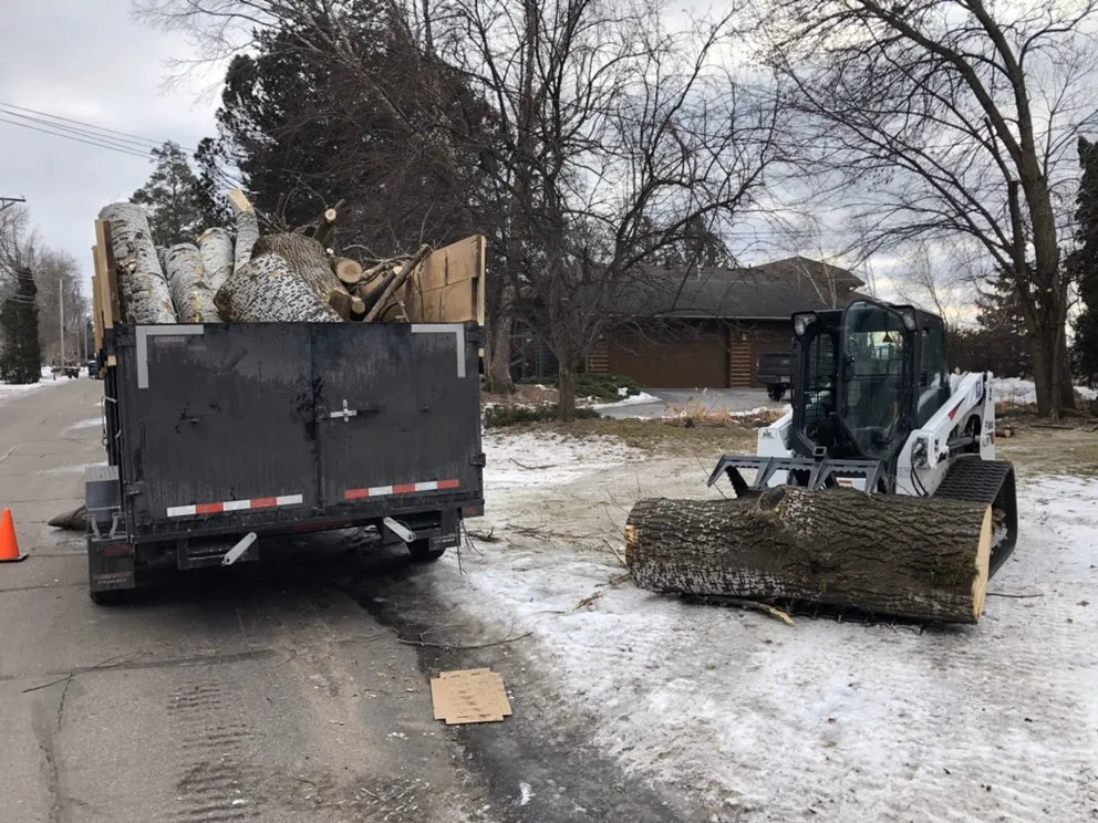 Expert yard cleanup service for beautiful yards in Plymouth, MN by Classy Landscape & Tree Service