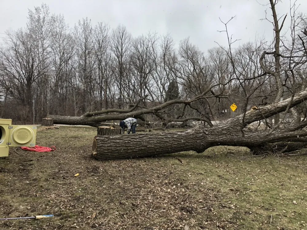 Affordable yard cleanup service in Plymouth, MN - Classy Landscape & Tree Service