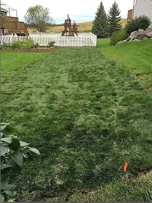 Reliable residential landscaping for beautiful yards across Plymouth, MN - Classy Landscape & Tree Service