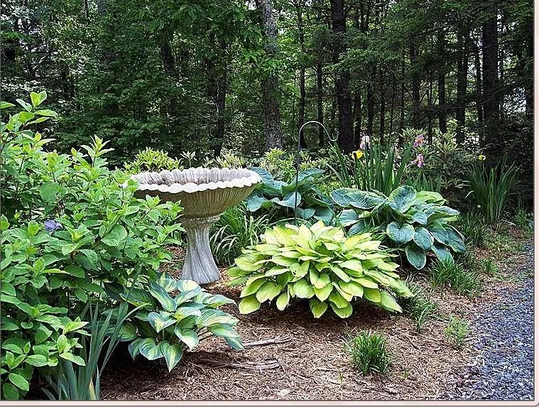 Top-rated lawn care service experts serving Plymouth, MN - Classy Landscape & Tree Service