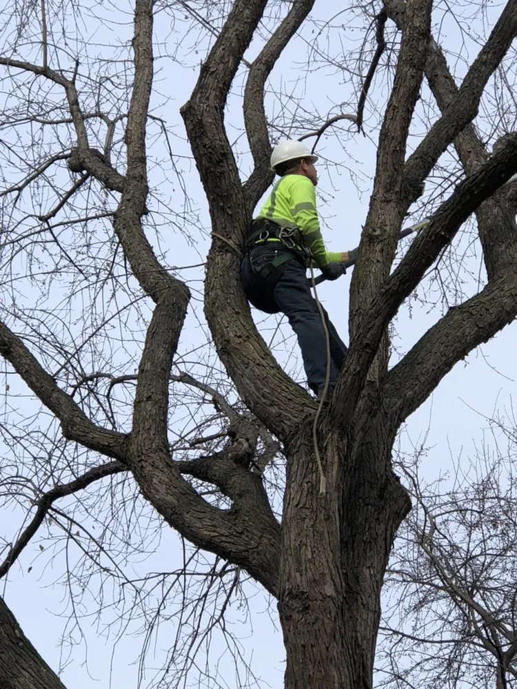 Local lawn mowing service with custom design across Plymouth, MN - Classy Landscape & Tree Service
