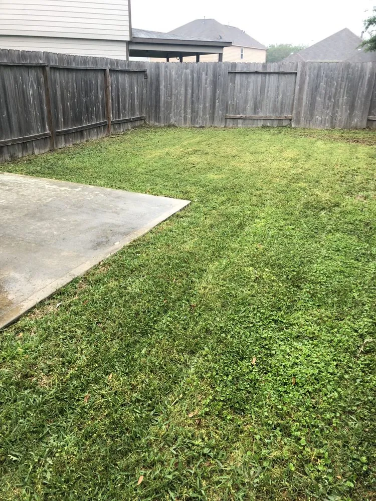 Expert landscape design in Houston, TX - Classy Yards