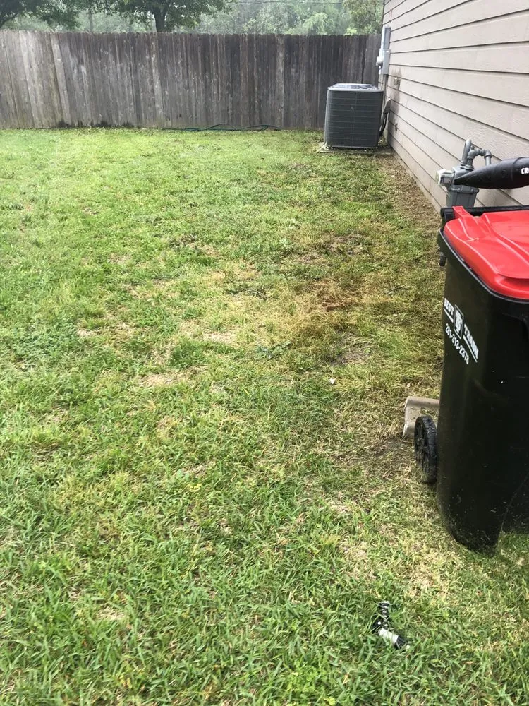 Top-rated lawn care service in Houston, TX by Classy Yards