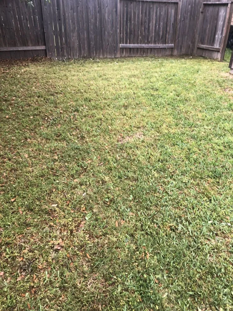 Professional lawn mowing service in Houston, TX - Classy Yards