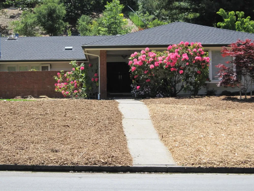 Top-rated landscaping services in Oakland, CA by Claudia Vieira Landscape Design