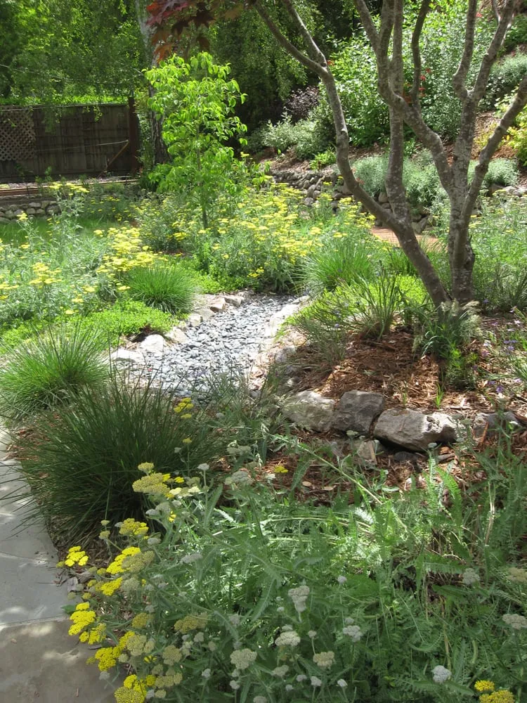 Trusted garden landscaping with custom design in Oakland, CA by Claudia Vieira Landscape Design