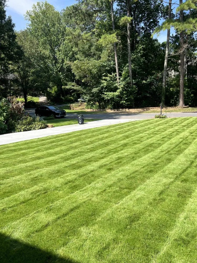 Trusted landscape design experts serving Austell, GA - Claudia’s Landscaping