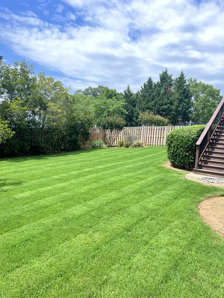 Custom yard maintenance experts serving Austell, GA - Claudia’s Landscaping