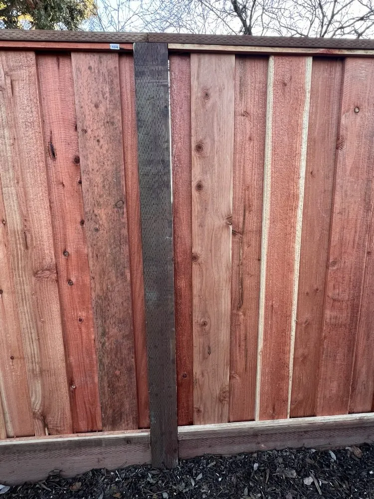 Trusted lawn care service experts serving Oakland, CA - Claudio Fencing