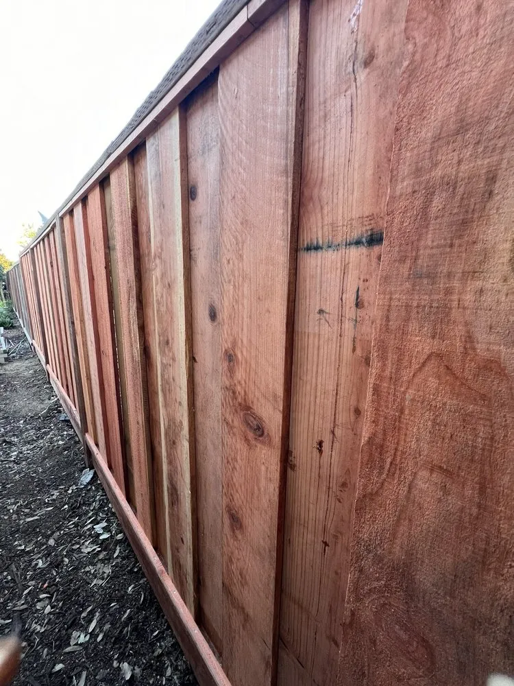 Professional lawn mowing service experts serving Oakland, CA - Claudio Fencing