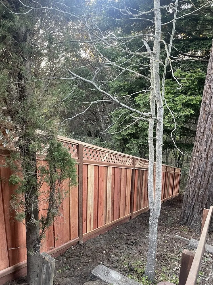 Expert garden landscaping in Oakland, CA - Claudio Fencing