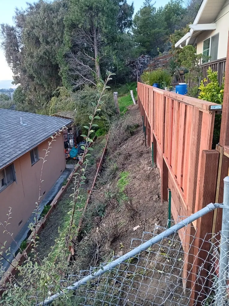 Reliable landscaping services in Oakland, CA by Claudio Fencing