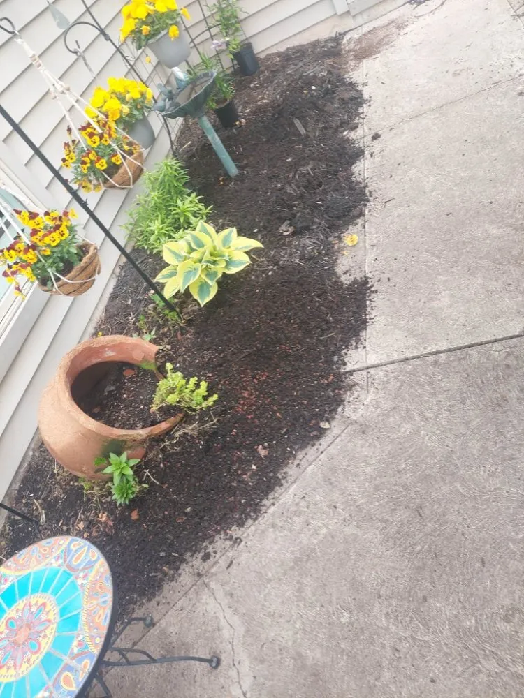 Reliable yard cleanup service experts serving Fort Wayne, IN - Claudio Gonzalez