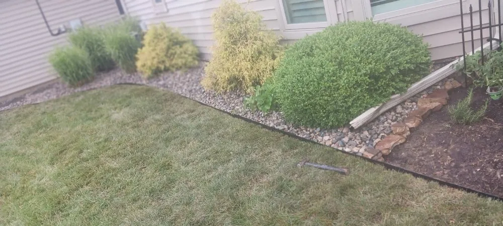 Professional yard cleanup service in Fort Wayne, IN by Claudio Gonzalez