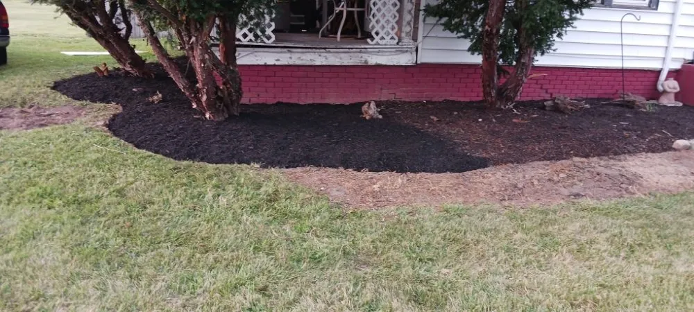 Top-rated yard cleanup service in Fort Wayne, IN - Claudio Gonzalez