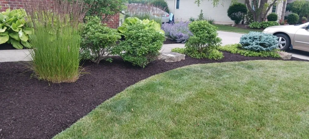 Trusted landscaping services with custom design in Fort Wayne, IN by Claudio Gonzalez