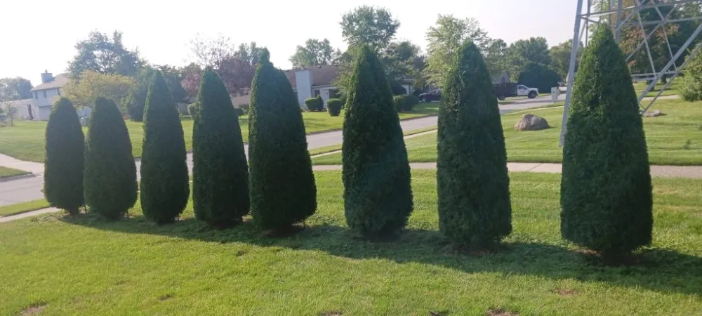 Reliable landscape design near you in Fort Wayne, IN by Claudio Gonzalez