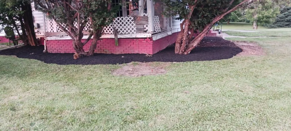 Expert lawn mowing service for beautiful yards across Fort Wayne, IN - Claudio Gonzalez