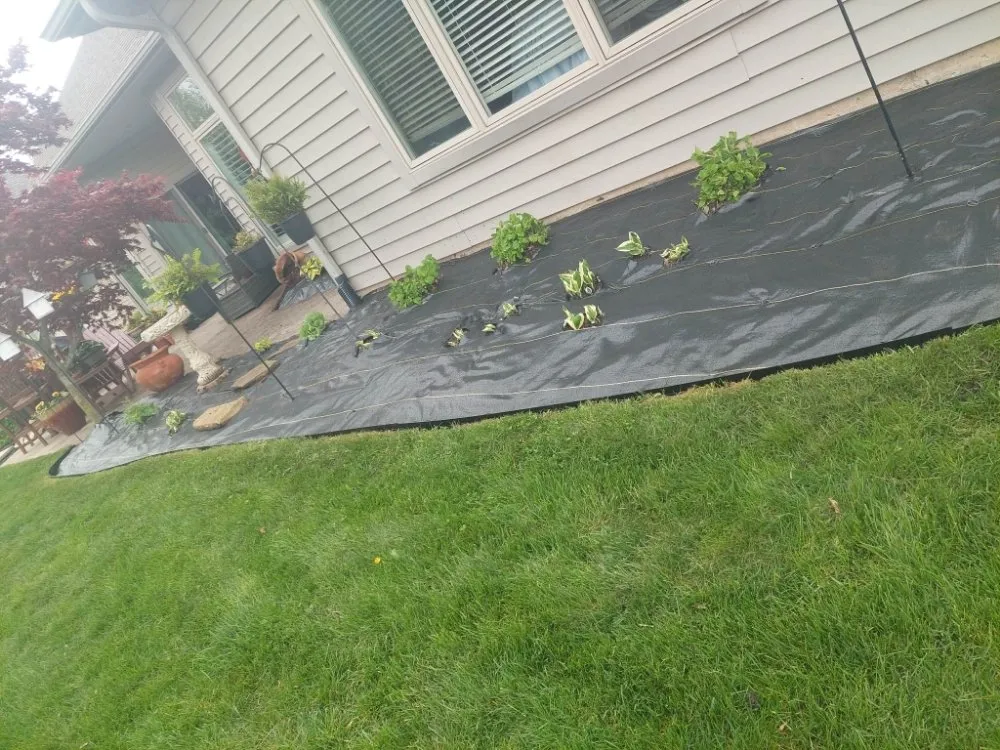 Top-rated yard cleanup service for residential properties across Fort Wayne, IN - Claudio Gonzalez