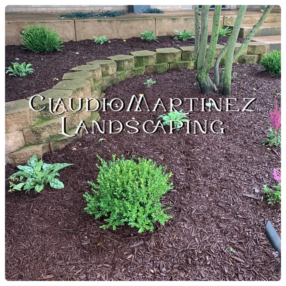 Expert lawn mowing service experts serving Rockford, IL - Claudio Martinez Landscaping
