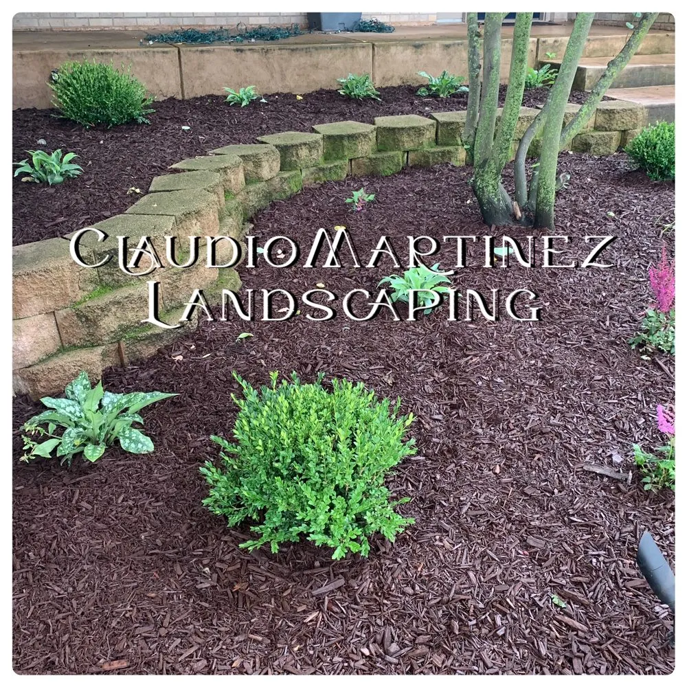 Custom landscape installation with custom design across Rockford, IL - Claudio Martinez Landscaping