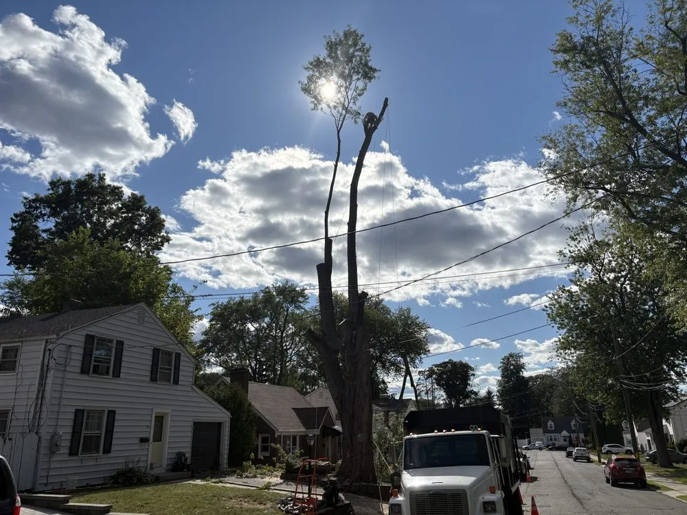 Reliable landscape installation with custom design in New Milford, CT by Claudio Tree Work and Landscaping