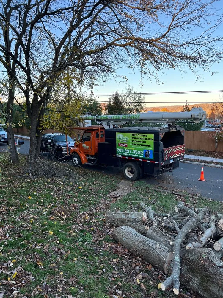 Expert garden landscaping experts serving New Milford, CT - Claudio Tree Work and Landscaping