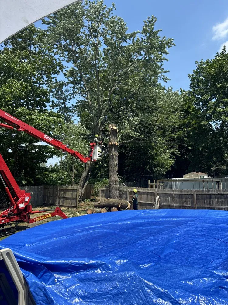 Top-rated yard cleanup service experts serving New Milford, CT - Claudio Tree Work and Landscaping