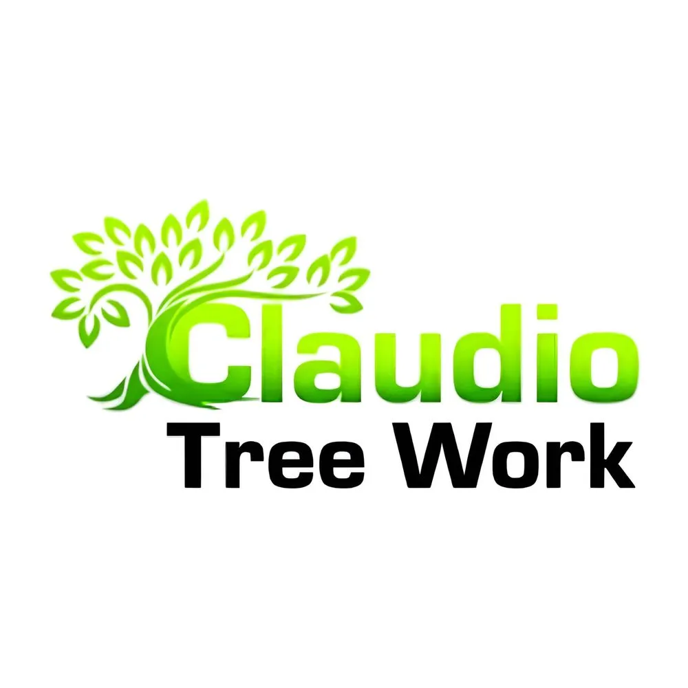 Affordable landscaping services experts serving New Milford, CT - Claudio Tree Work and Landscaping