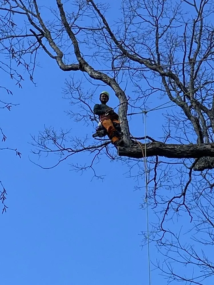 Professional lawn care service for homes in New Milford, CT by Claudio Tree Work and Landscaping