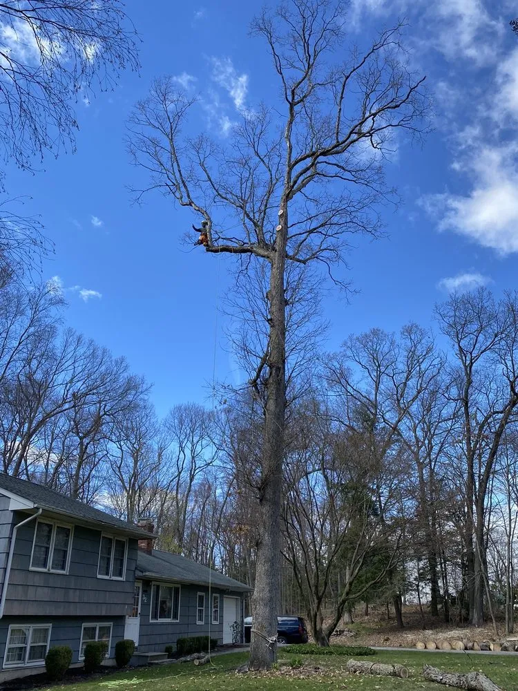 Custom lawn care service experts serving New Milford, CT - Claudio Tree Work and Landscaping