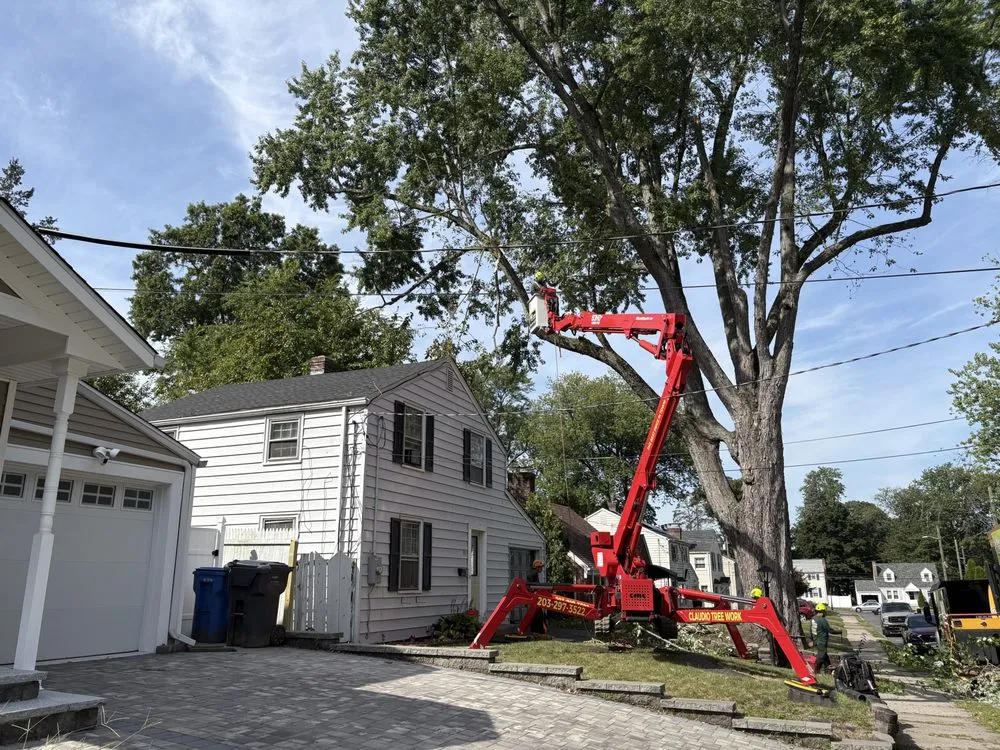Reliable lawn mowing service for homes across New Milford, CT - Claudio Tree Work and Landscaping