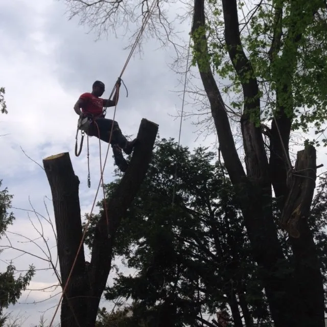 Trusted yard maintenance in New Milford, CT - Claudio Tree Work and Landscaping