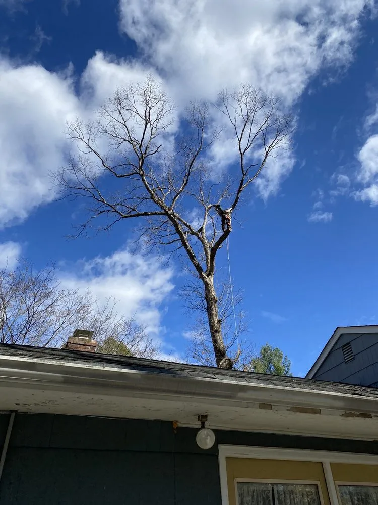 Local lawn care service near you across New Milford, CT - Claudio Tree Work and Landscaping