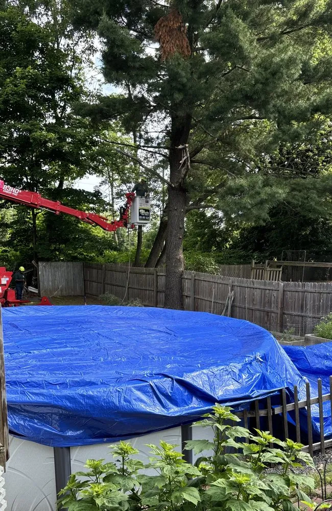 Reliable landscape design in New Milford, CT by Claudio Tree Work and Landscaping