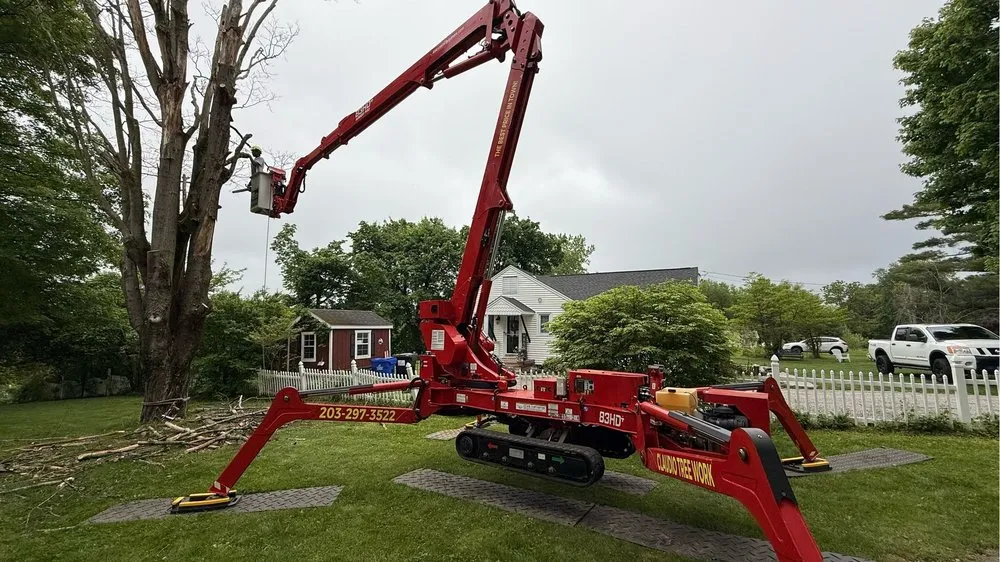 Professional garden landscaping in New Milford, CT - Claudio Tree Work and Landscaping