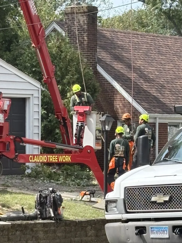 Trusted garden landscaping experts serving New Milford, CT - Claudio Tree Work and Landscaping