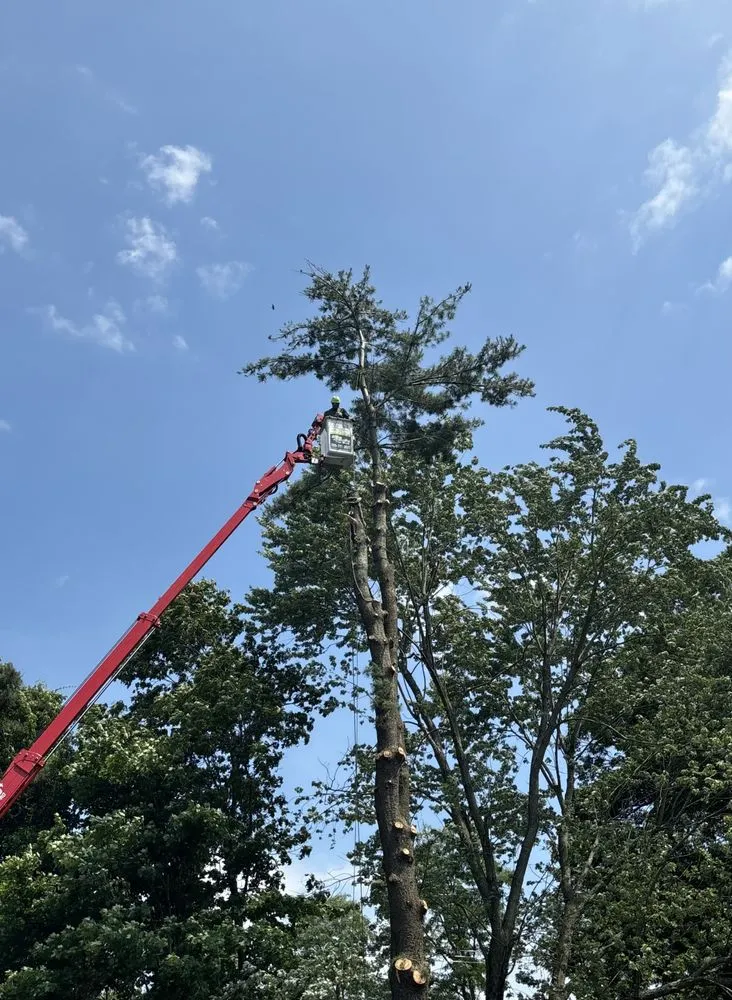 Reliable residential landscaping experts serving New Milford, CT - Claudio Tree Work and Landscaping