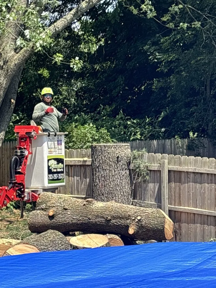 Affordable garden landscaping with custom design in New Milford, CT by Claudio Tree Work and Landscaping