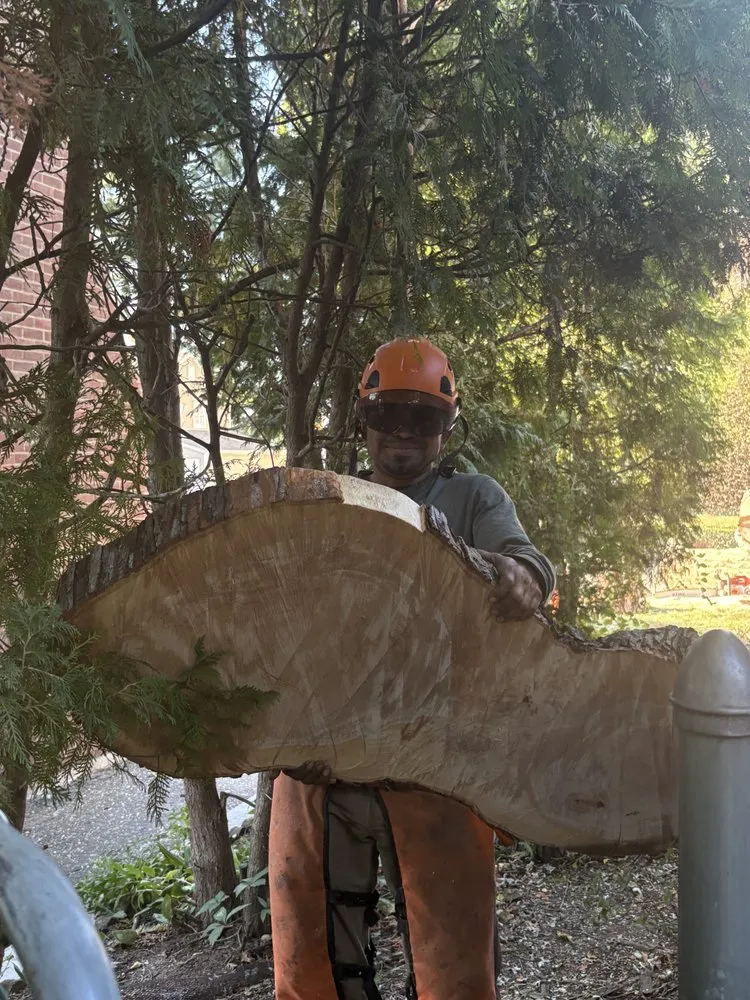 Expert lawn care service for beautiful yards across New Milford, CT - Claudio Tree Work and Landscaping