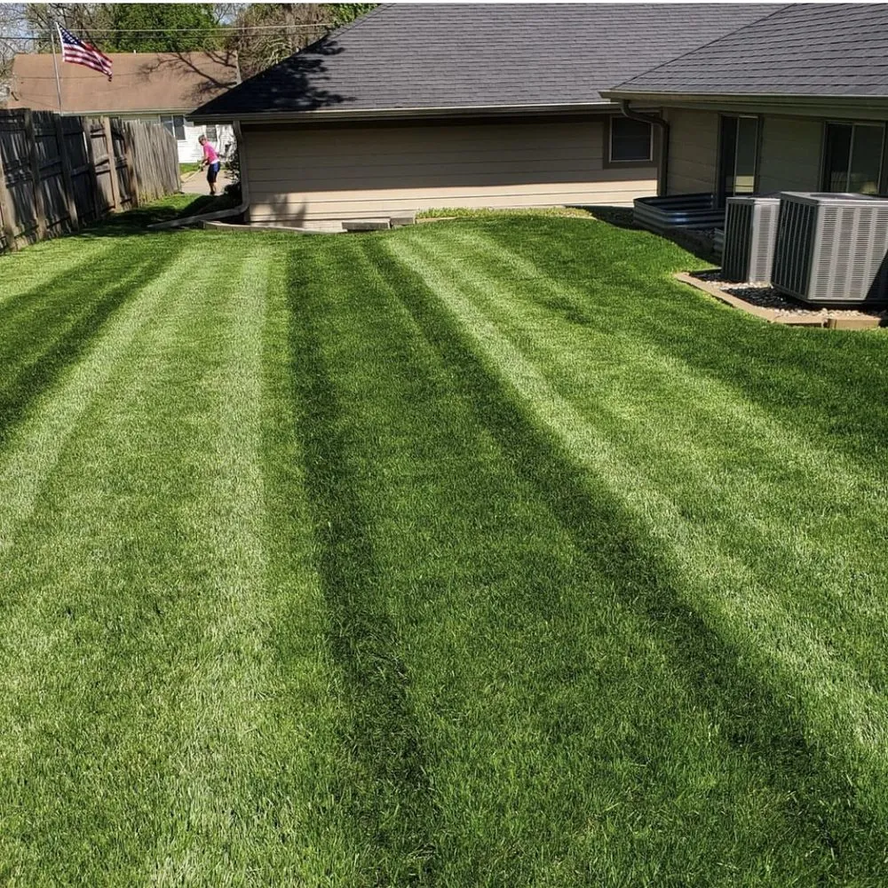 Professional yard cleanup service in Danville, KY by Claunch Mowing.