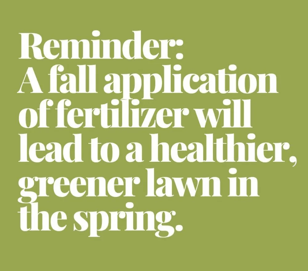 Top-rated lawn mowing service in Westfield, IN - Claus Landscaping