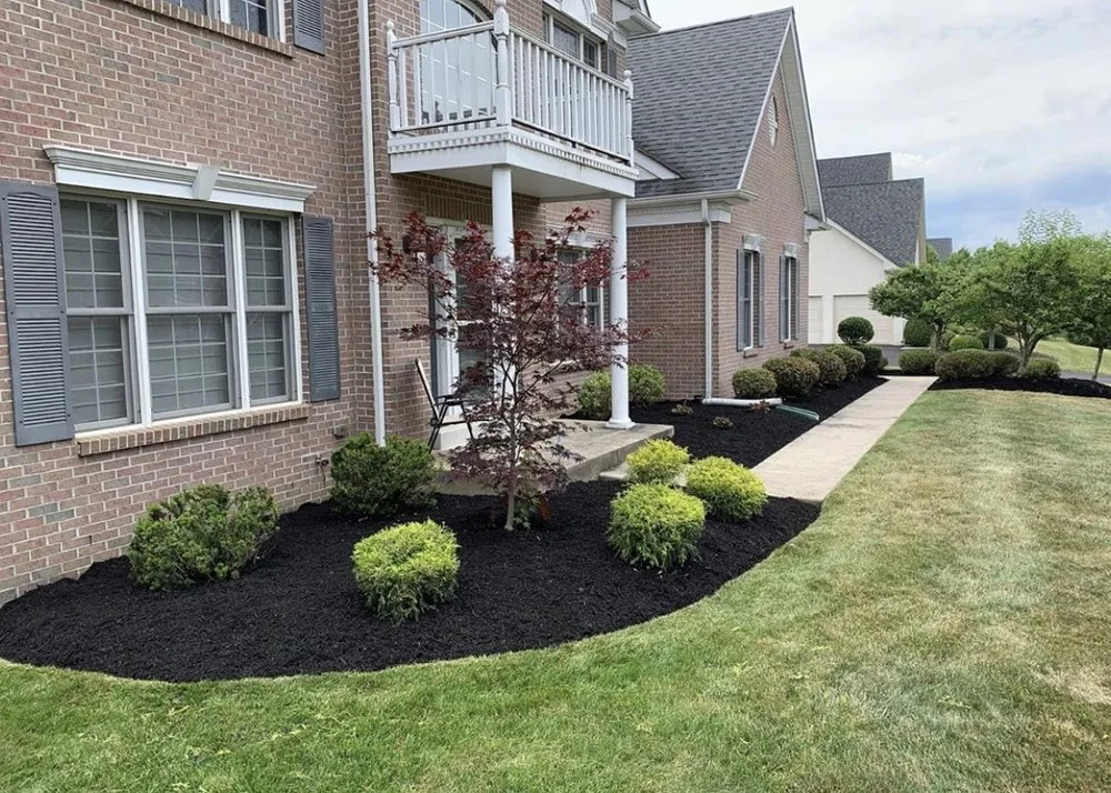Affordable yard cleanup service in Westfield, IN by Claus Landscaping