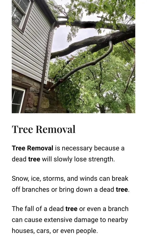 Local outdoor landscaping experts serving Westfield, IN - Claus Landscaping